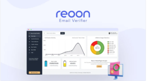 Reoon Email Verifier Lifetime Deal